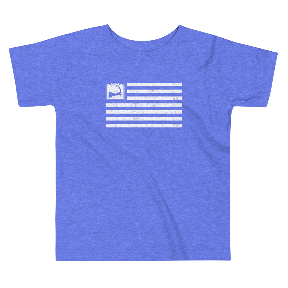 Cape Cod Flag Toddler Short Sleeve T-Shirt